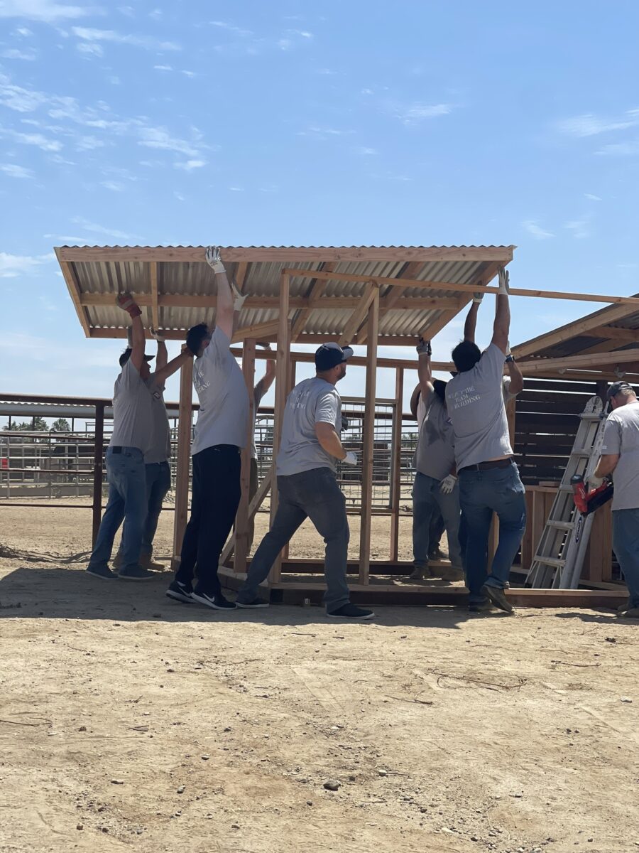 Raymond Volunteers with Free Rein Foundation